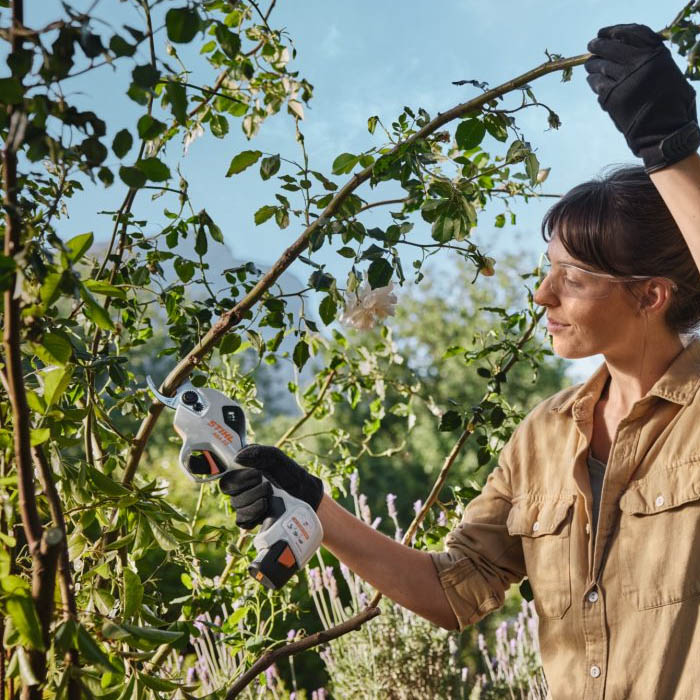 STIHL ASA20 Cordless Secateurs KIT | Gardening Tools UK